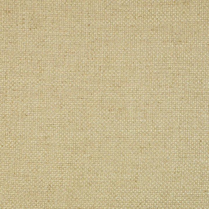 Baird # 67 Bisquit by Maxwell Fabric THE BIG EASY 90% POLYESTER 10% LINEN CHINA </p><p>Repeat: Horizontal: and Vertical: 55" - Fabric Carolina -
