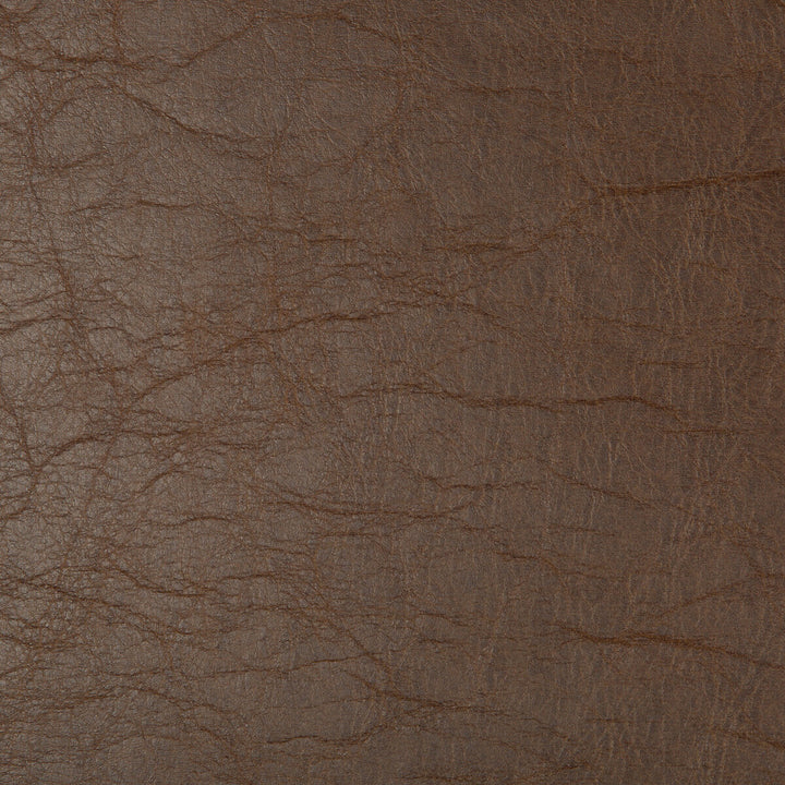 Buckpasser-6 by Kravet Design Fabric POLYURETHANE - 77%;POLYESTER - 23% China HEAVY Horizontal: 0 and Vertical: 0 54 - Fabric Carolina -