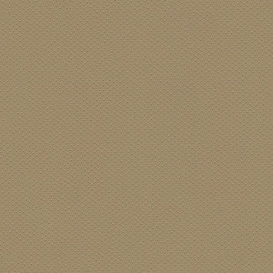 Buckskin 7486 Camel w/Aberdeen Soft by ABBEYSHEA Fabric