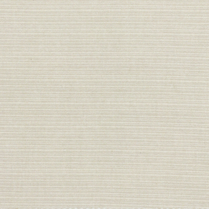 Bugstone 1 Ecru by Stout Fabric Stout Fabric Bugstone 1 EcruFabric Texture Appeal 100%Cot India </p><p>Repeat: H: 0, V: 0 54 in - Fabric Carolina -