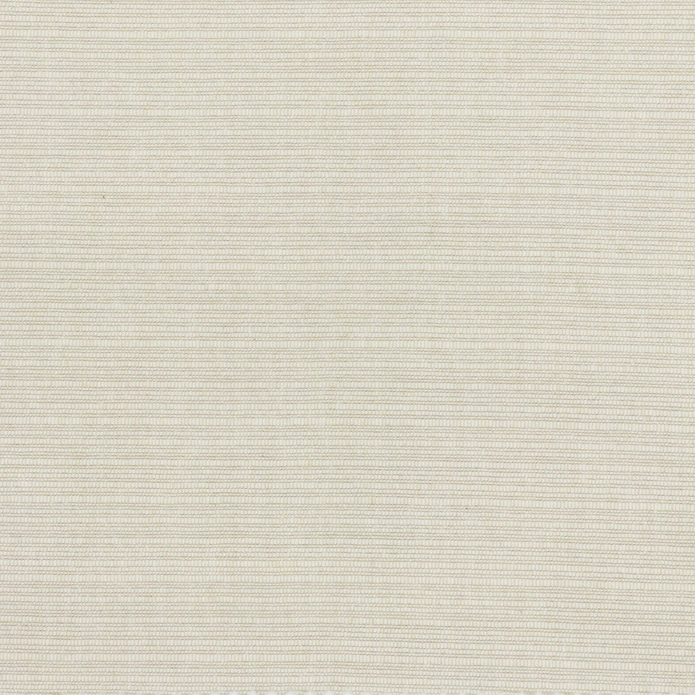 Bugstone 1 Ecru by Stout Fabric TEXTURE APPEAL 100%COT INDIA Horizontal: 0.000 and Vertical: 0.000 54 in - Fabric Carolina -