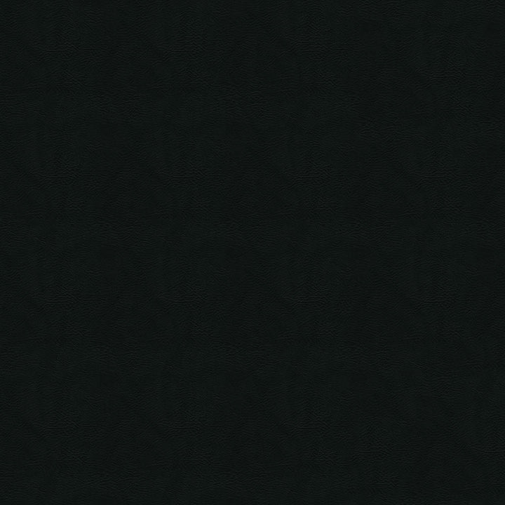 Burkshire 43 Black by Naugahyde Fabric N/A 100% Polyvinyl Chloride (PVC) US 250,000 Double Rubs </p><p>Repeat: Horizontal: and Vertical: 54" (137 cm) - Fabric Carolina -