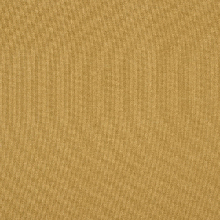 Burlington 74J7031 by JF Crypton Fabric Crypton Binder 100% Polyester China 50000 Horizontal: and Vertical: 54 - Fabric Carolina -