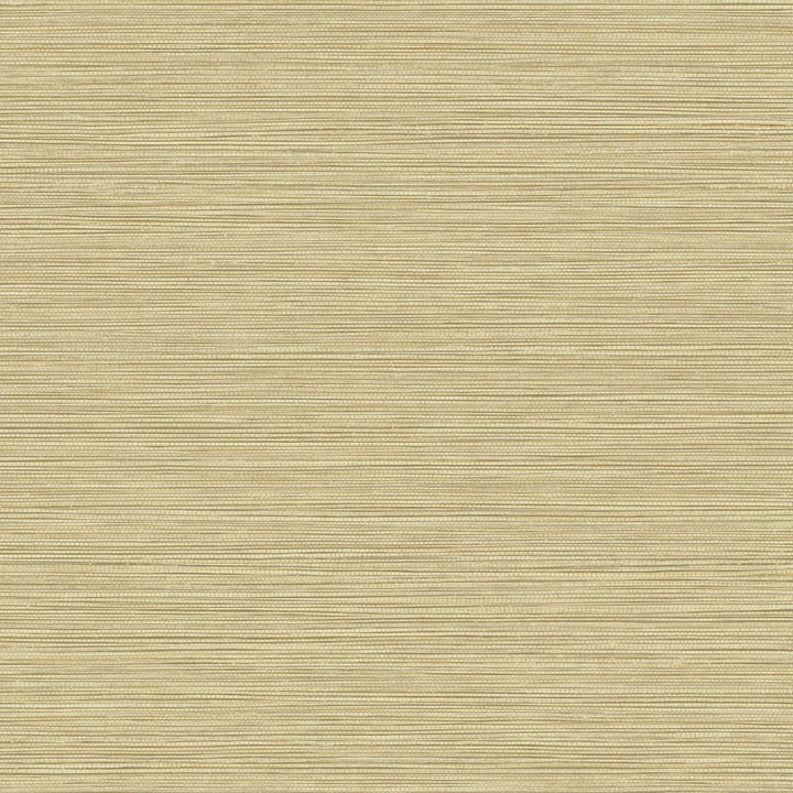 Grasslands Sandy Shores by Seabrook Wallpaper Texture Gallery United States 60.75 0" 27" - Fabric Carolina -