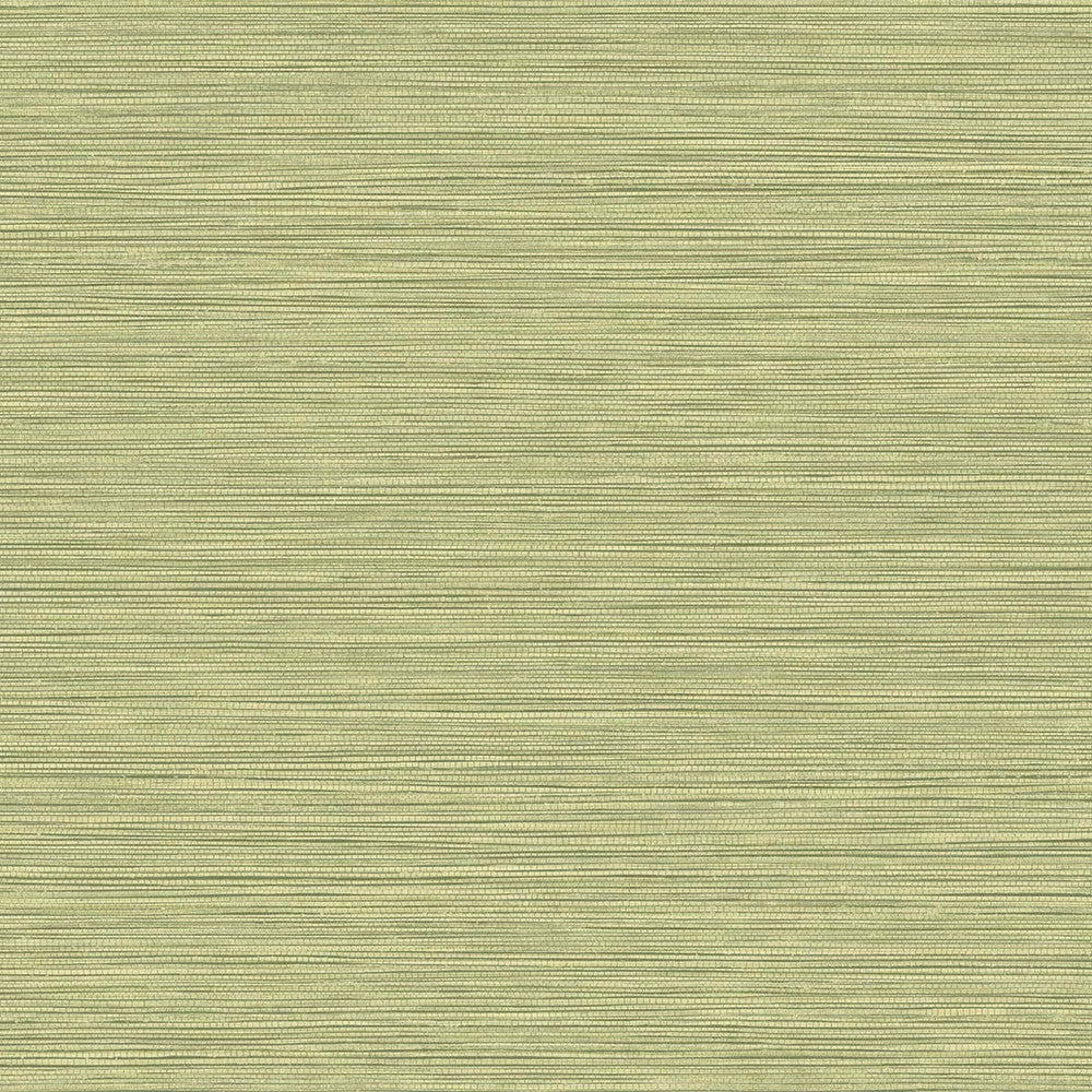 Grasslands Lime Moss by Seabrook Wallpaper Texture Gallery United States 60.75 0" 27" - Fabric Carolina -