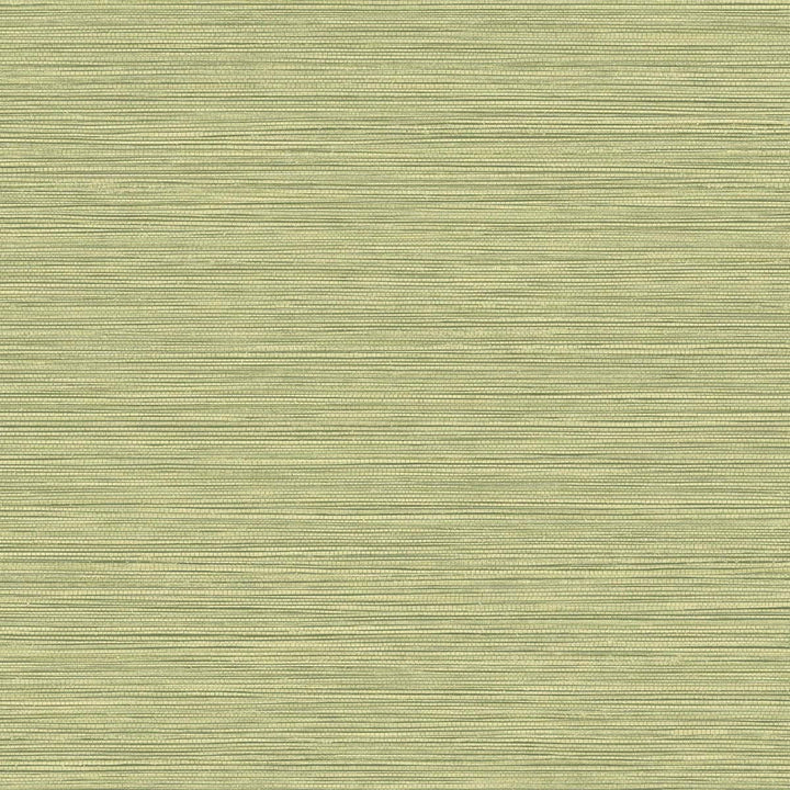 Grasslands Lime Moss by Seabrook Wallpaper Texture Gallery United States 60.75 0" 27" - Fabric Carolina -