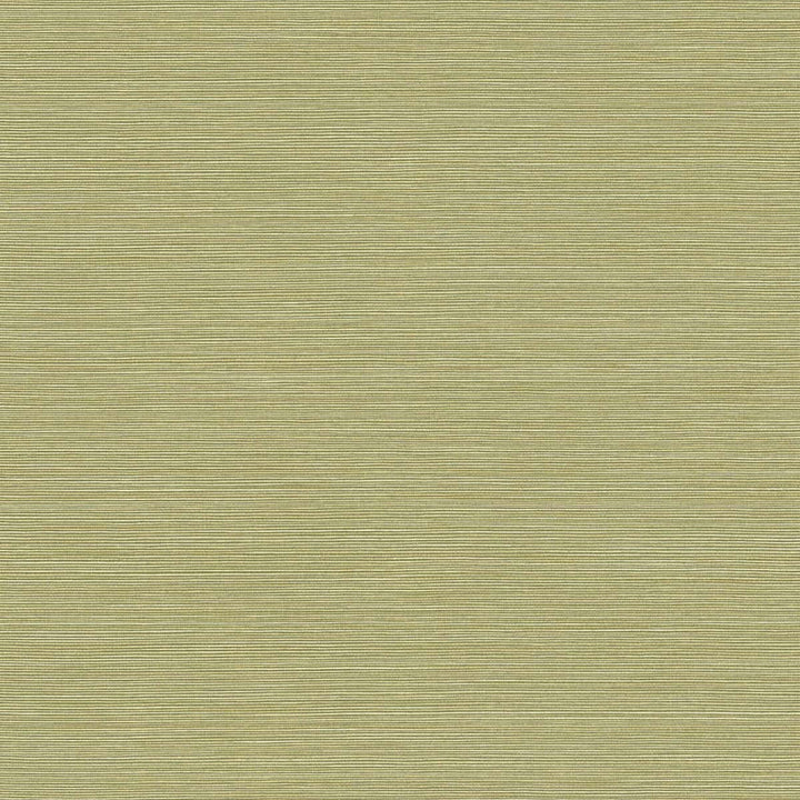 Coastal Hemp Lime Moss by Seabrook Wallpaper Texture Gallery United States 60.75 0" 27" - Fabric Carolina -