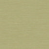 Coastal Hemp Lime Moss BV30424 by Seabrook Designs Wallpaper