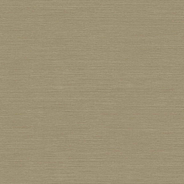 Coastal Hemp Cattails by Seabrook Wallpaper Texture Gallery United States 60.75 0" 27" - Fabric Carolina -