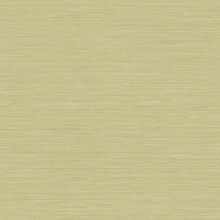 Coastal Hemp Aloe by Seabrook Wallpaper Texture Gallery United States 60.75 0" 27" - Fabric Carolina -
