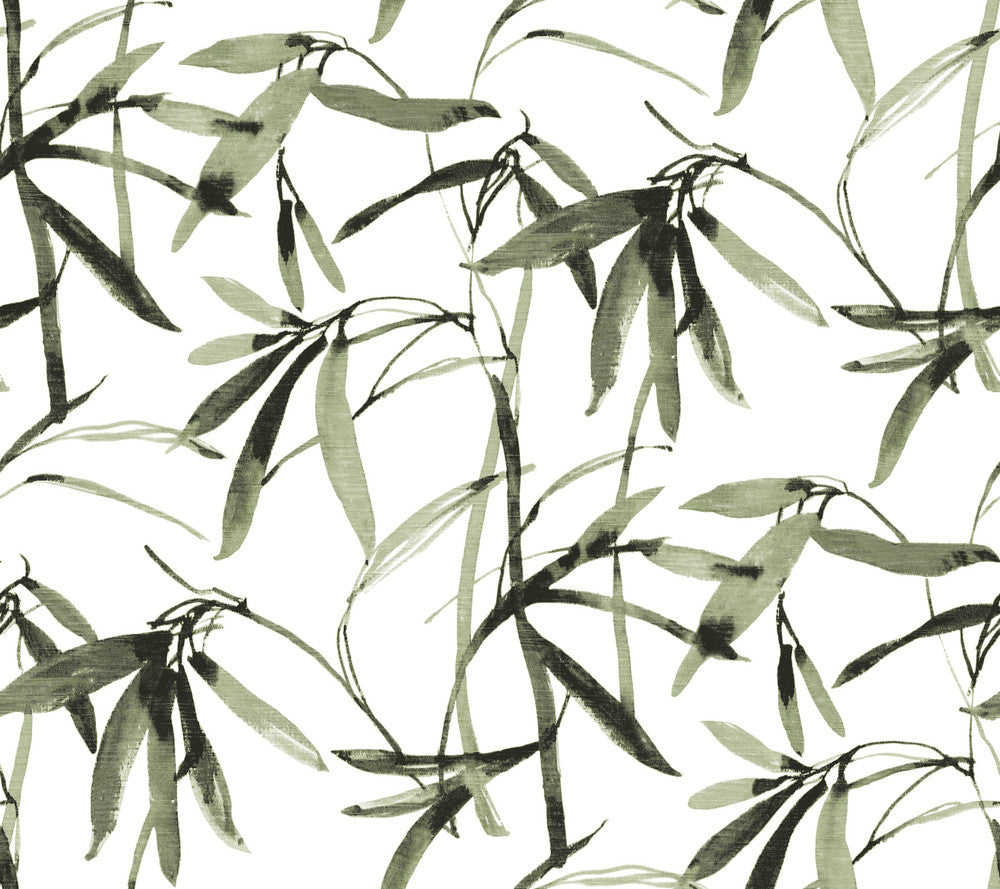 Bamboo Ink Green & Black Wallpaper by York Wallcoverings Earthy Tones Covers about 60.8 square feet 27-in by 27-ft long roll Prepasted 24 - Fabric Carolina -