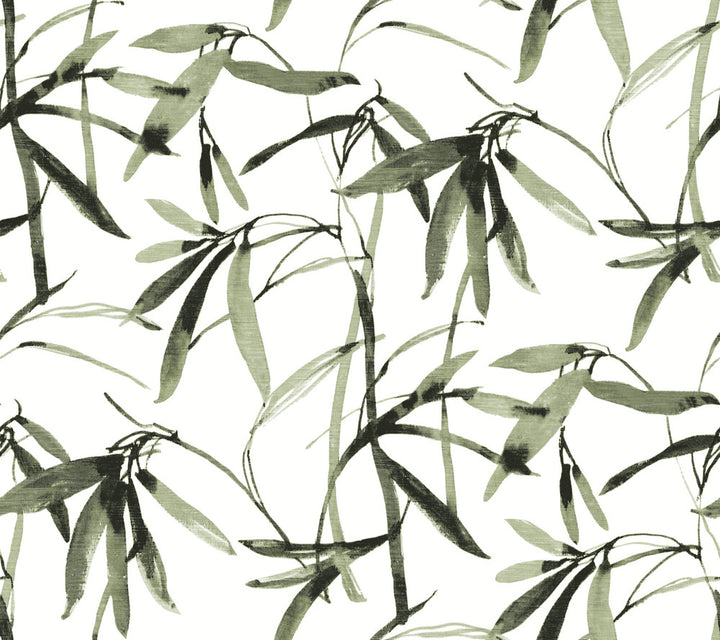 Bamboo Ink Green & Black Wallpaper by York Wallcoverings Earthy Tones Covers about 60.8 square feet 27-in by 27-ft long roll Prepasted 24 - Fabric Carolina -