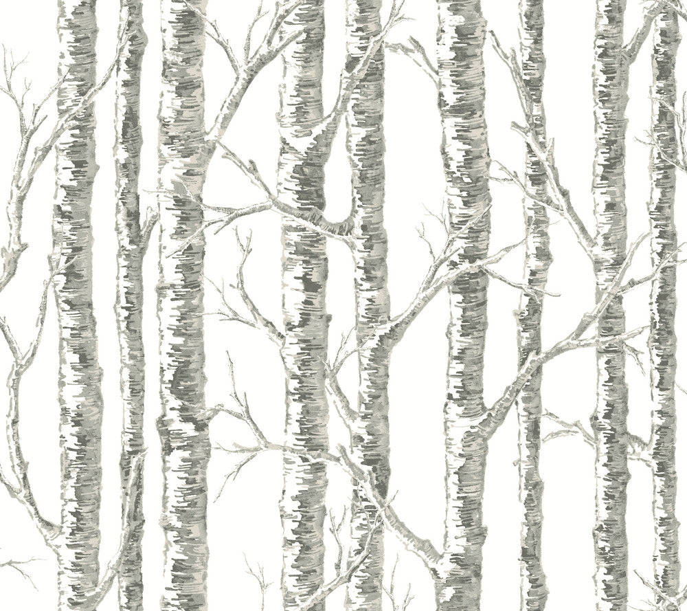 Paper Birch White & Grey Wallpaper by Inspired by Color Beige & Neutrals Covers about 60.8 square feet 27-in by 27-ft long roll Prepasted 24 - Fabric Carolina -