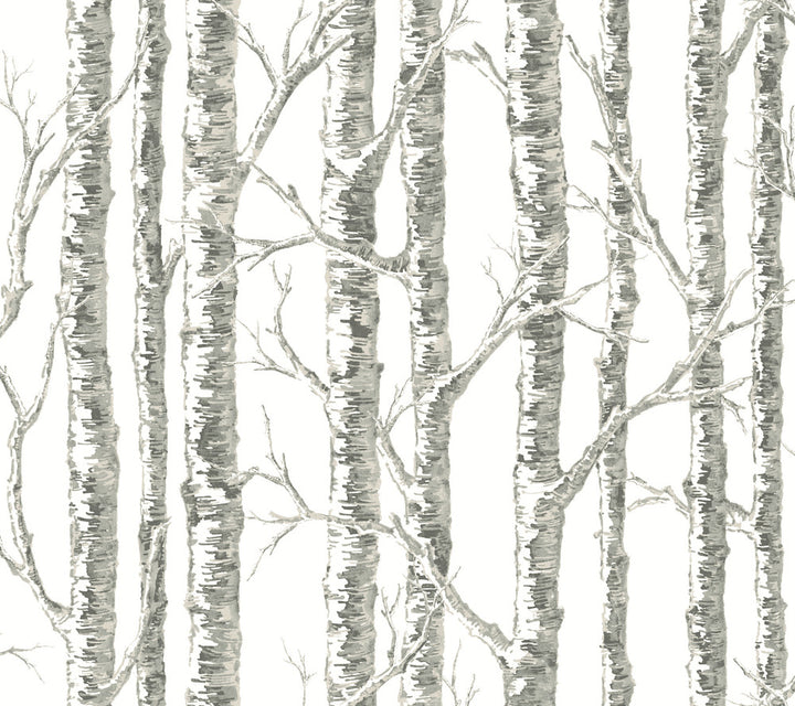 Paper Birch White & Grey Wallpaper by Inspired by Color Beige & Neutrals Covers about 60.8 square feet 27-in by 27-ft long roll Prepasted 24 - Fabric Carolina -