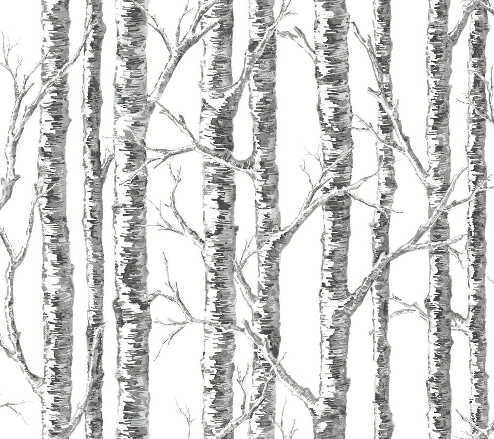 Paper Birch Black & White Wallpaper by Inspired by Color Black & White, III Covers about 60.8 square feet 27-in by 27-ft long roll Prepasted 24 - Fabric Carolina -
