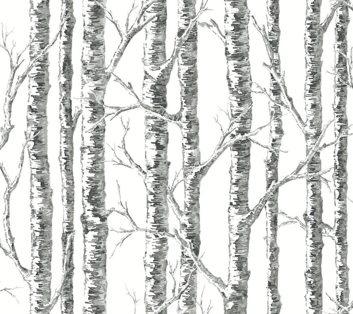 Paper Birch Black & White Wallpaper by Inspired by Color Black & White, III Covers about 60.8 square feet 27-in by 27-ft long roll Prepasted 24 - Fabric Carolina -