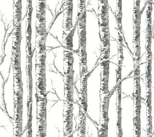 Paper Birch Black & White Wallpaper by Inspired by Color