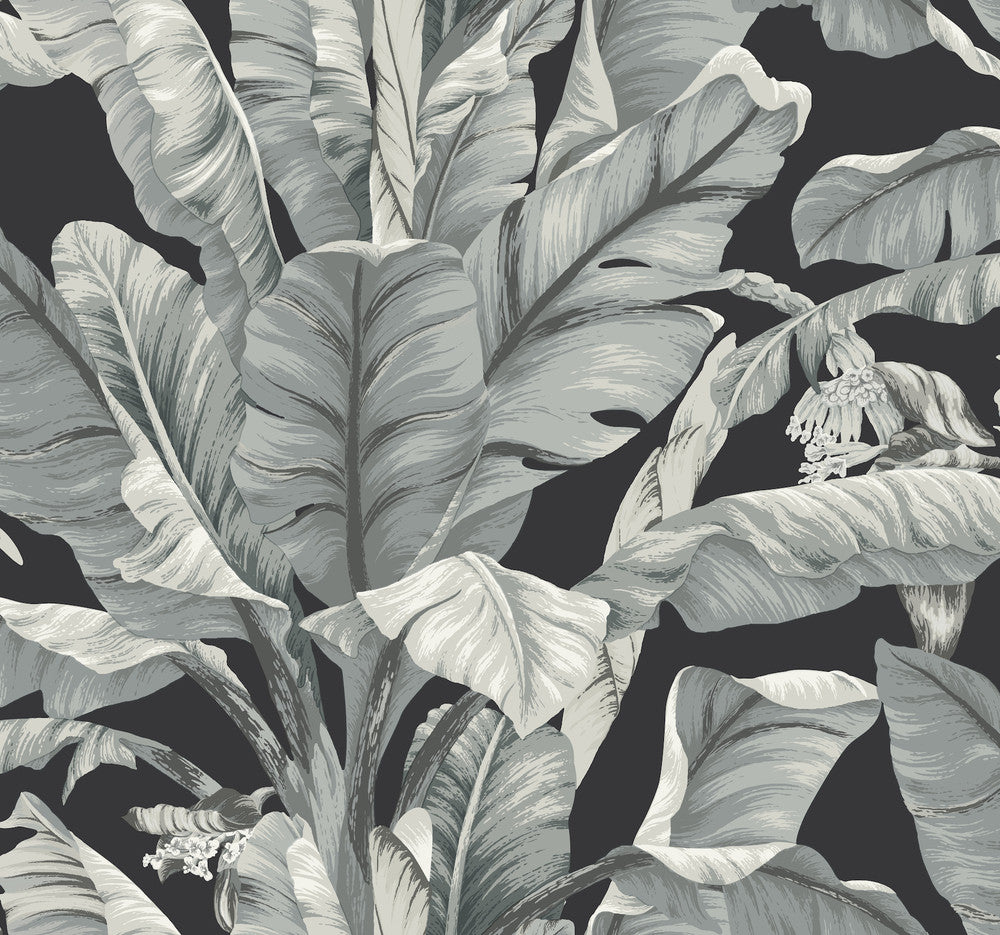 Banana Leaf Black & White Wallpaper by Inspired by Color Black & White Resource Library Covers about 60.8 square feet 27-in by 27-ft long roll Prepasted 25.25 - Fabric Carolina -