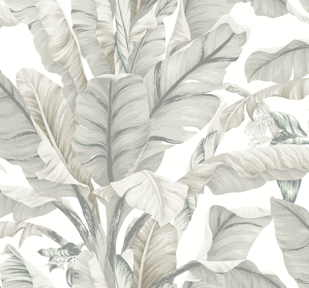Banana Leaf White & Cream Wallpaper by Inspired by Color Black & White Resource Library Covers about 60.8 square feet 27-in by 27-ft long roll Prepasted 25.25 - Fabric Carolina -