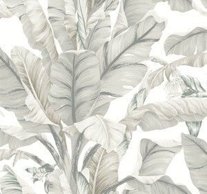 Banana Leaf White & Cream Wallpaper by Inspired by Color