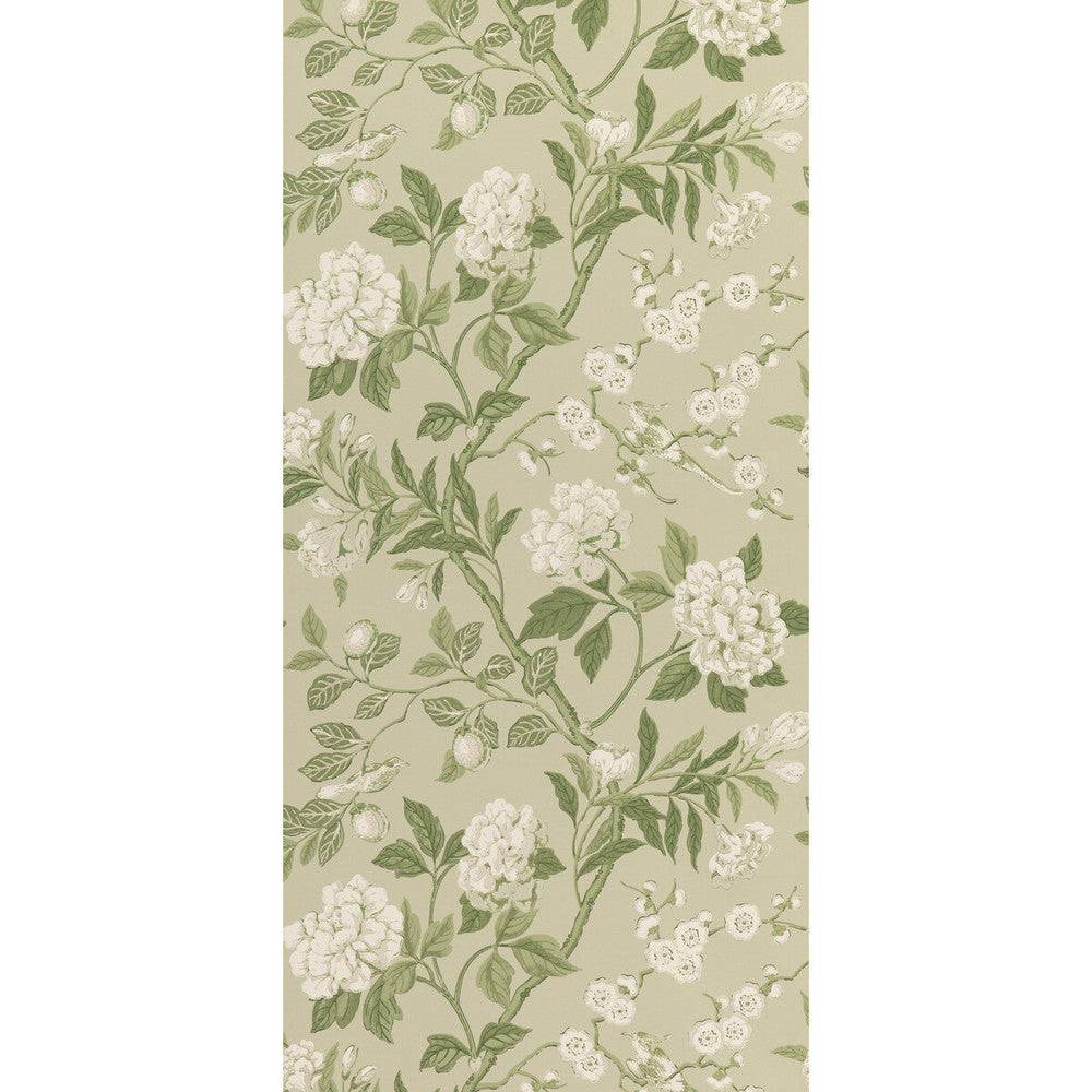 Emperor'S Garden Soft Green by G P & J Baker Wallcovering SIGNATURE II WALLPAPERS PAPER - 100% United Kingdom - Horizontal: 20.488 and Vertical: 24.034 20.488 - Fabric Carolina -