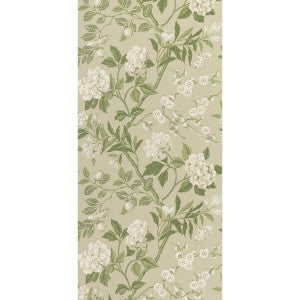 Emperor'S Garden Soft Green by G P & J Baker Wallcovering