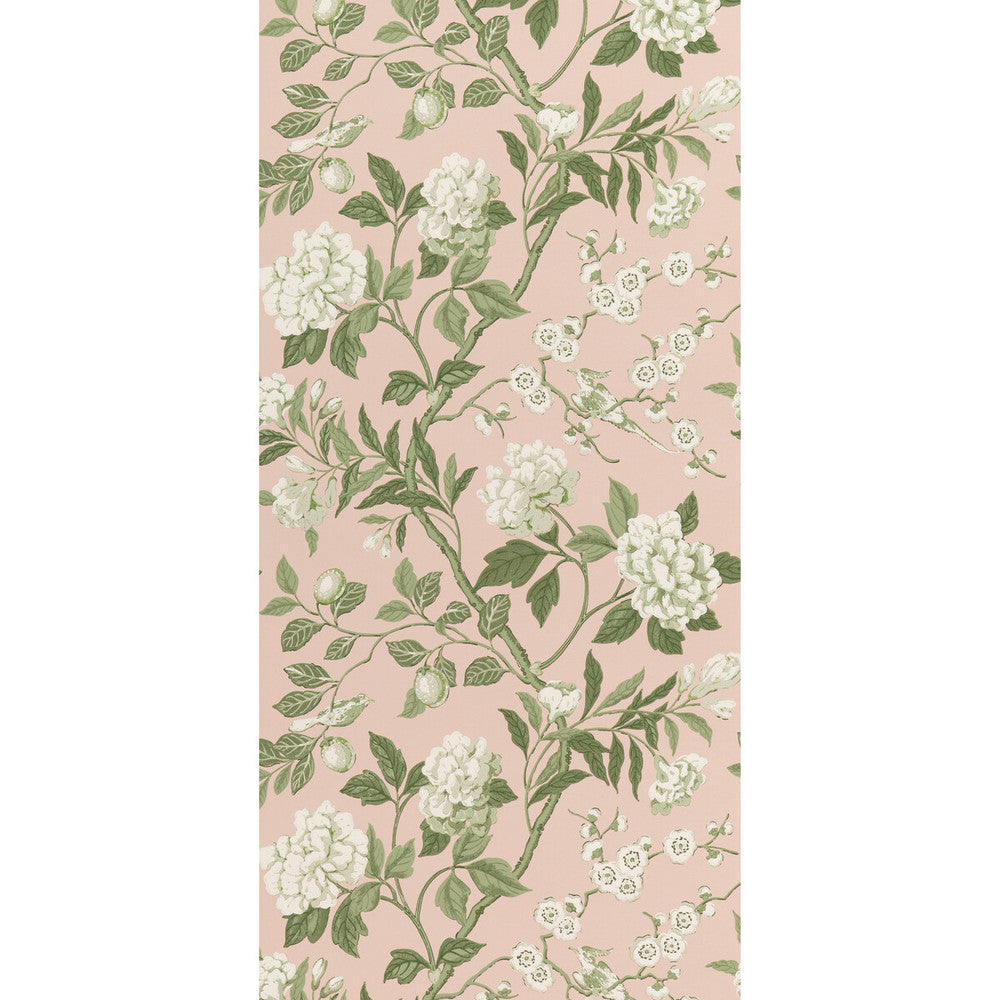 Emperor'S Garden Blush by G P & J Baker Wallcovering G P & J Baker Wallcovering Emperor'S Garden BlushWallcovering SIGNATURE II WALLPAPERS NON WOVEN - 100% United Kingdom </p><p>Repeat: H: 20.488, V: 24.034 20.488 - Fabric Carolina -