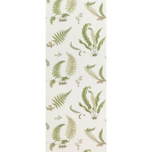 Ferns Leaf by G P & J Baker Wallcovering