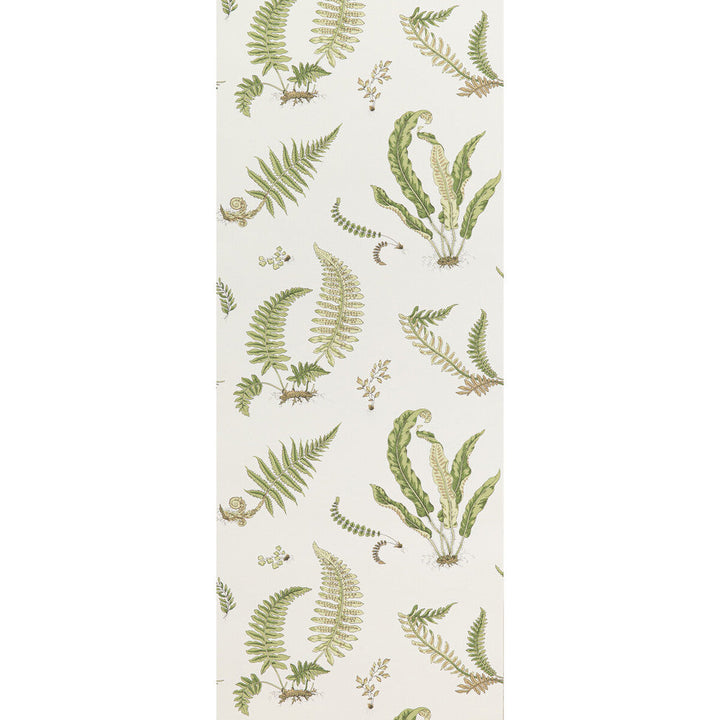 Ferns Leaf by G P & J Baker Wallcovering G P & J Baker Wallcovering Ferns LeafWallcovering SIGNATURE II WALLPAPERS NON WOVEN - 100% United Kingdom </p><p>Repeat: H: 20.488, V: 20.882 20.488 - Fabric Carolina -