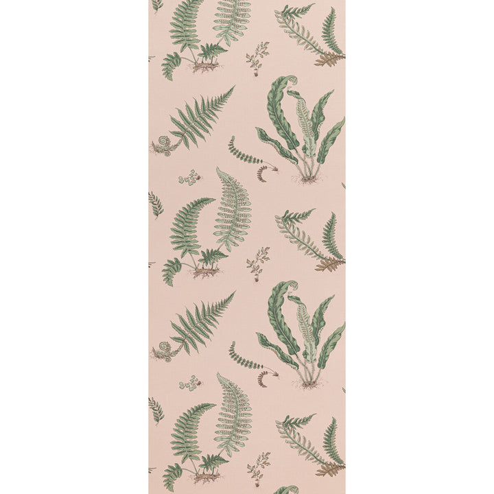 Ferns Blush by G P & J Baker Wallcovering G P & J Baker Wallcovering Ferns BlushWallcovering SIGNATURE II WALLPAPERS NON WOVEN - 100% United Kingdom </p><p>Repeat: H: 20.488, V: 20.882 20.488 - Fabric Carolina -