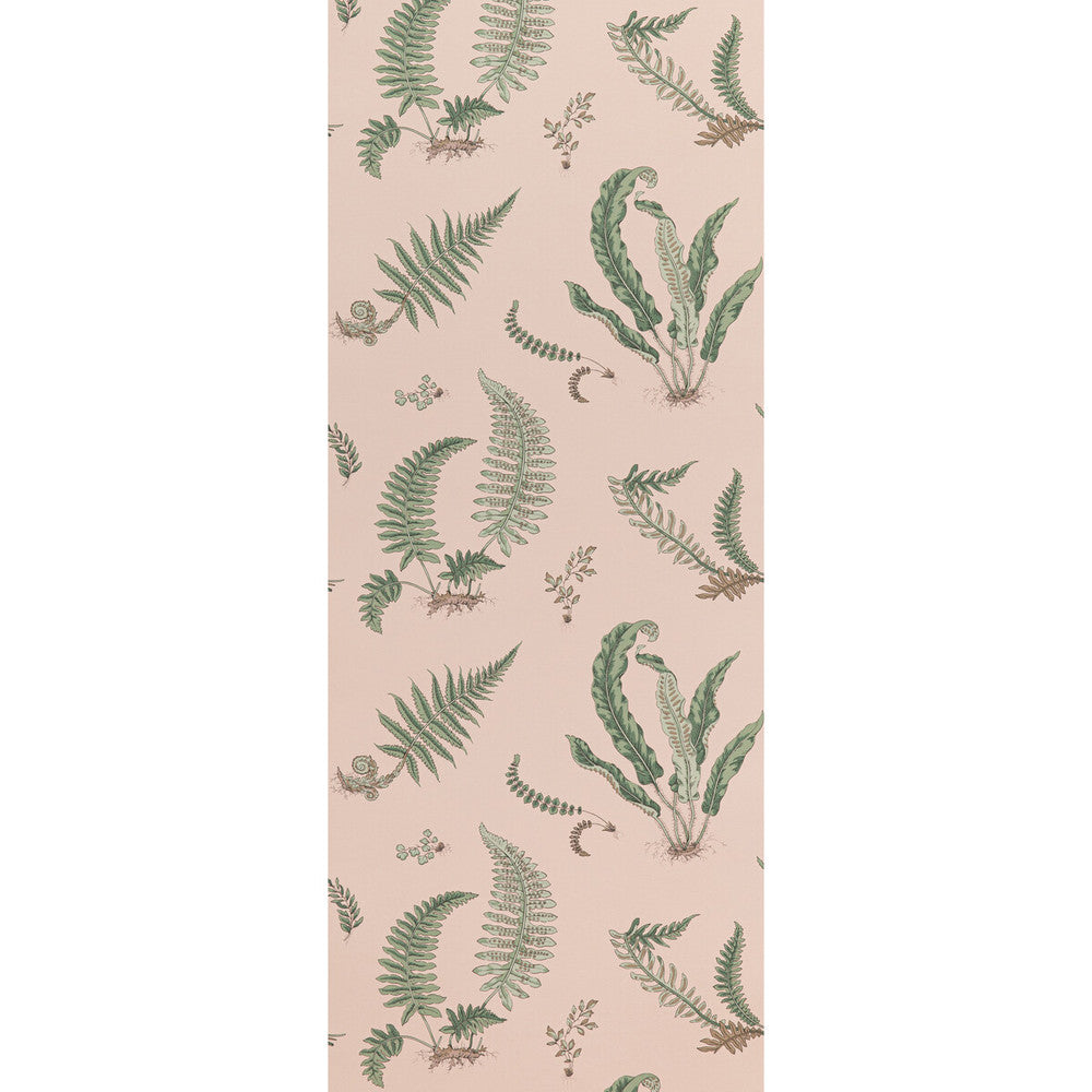 Ferns Blush by G P & J Baker Wallcovering SIGNATURE II WALLPAPERS NON WOVEN - 100% United Kingdom Horizontal: 20.488 and Vertical: 20.882 20.488 - Fabric Carolina -