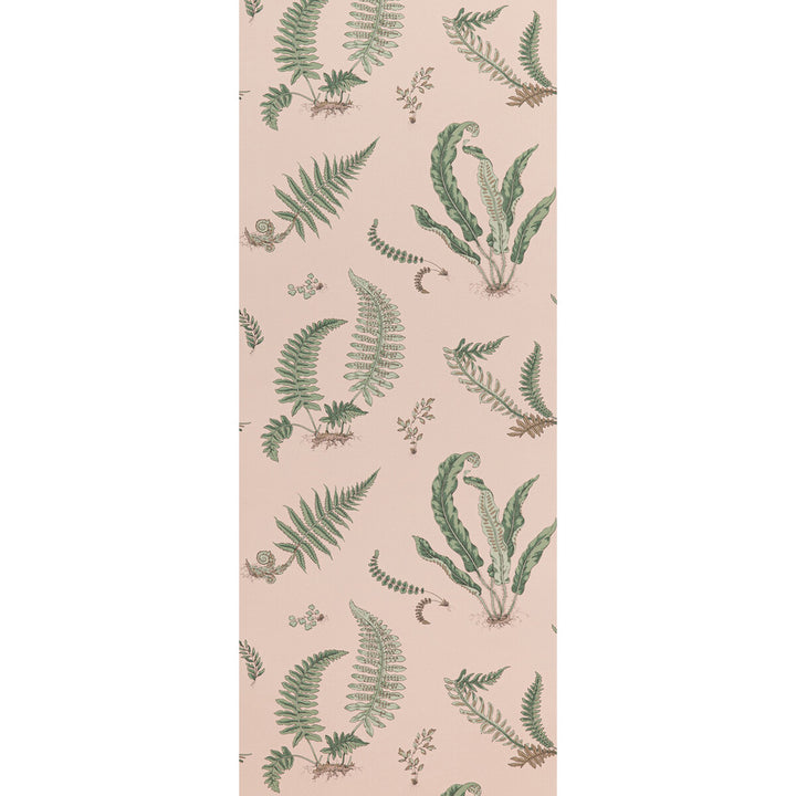 Ferns Blush by G P & J Baker Wallcovering G P & J Baker Wallcovering Ferns BlushWallcovering SIGNATURE II WALLPAPERS NON WOVEN - 100% United Kingdom </p><p>Repeat: H: 20.488, V: 20.882 20.488 - Fabric Carolina -