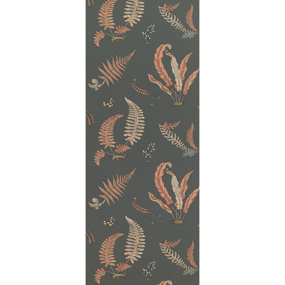 Ferns Coral/Charcoal by G P & J Baker Wallcovering G P & J Baker Wallcovering Ferns Coral/CharcoalWallcovering SIGNATURE II WALLPAPERS NON WOVEN - 100% United Kingdom </p><p>Repeat: H: 20.488, V: 20.882 20.488 - Fabric Carolina -