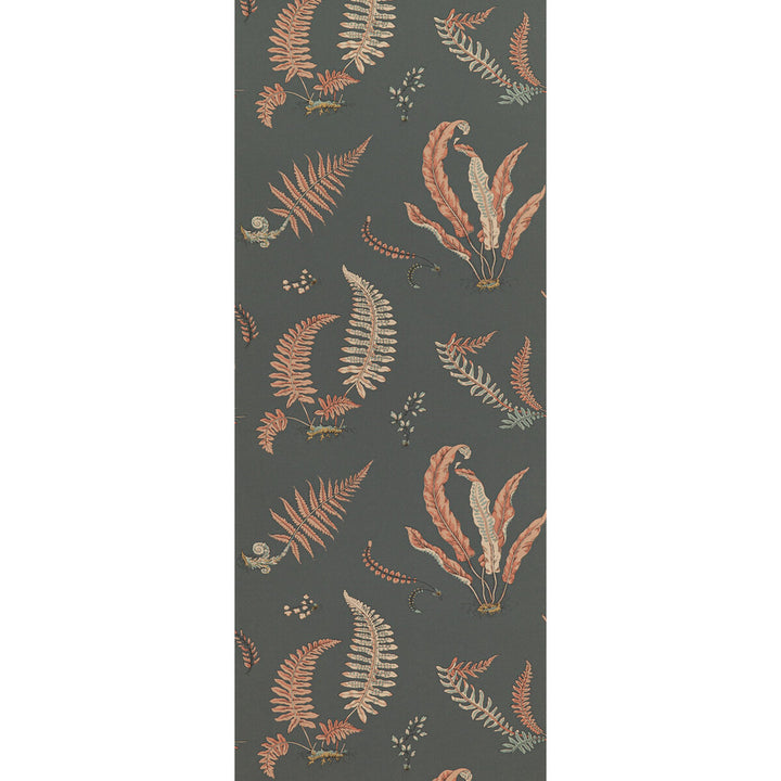 Ferns Coral/Charcoal by G P & J Baker Wallcovering SIGNATURE II WALLPAPERS NON WOVEN - 100% United Kingdom Horizontal: 20.488 and Vertical: 20.882 20.488 - Fabric Carolina -