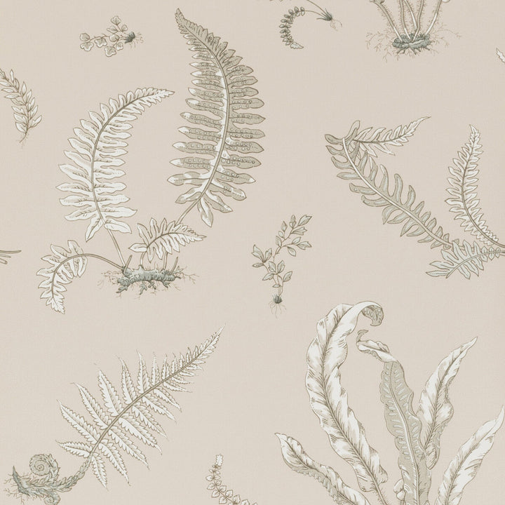 Ferns Linen by G P & J Baker Wallcovering SIGNATURE NON WOVEN - 100% United Kingdom Horizontal: 20.488 and Vertical: 20.882 20.488 - Fabric Carolina -