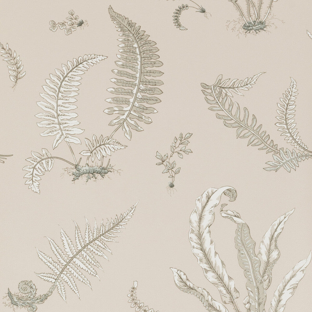 Ferns Linen by G P & J Baker Wallcovering SIGNATURE PAPER - 100% United Kingdom - Horizontal: 20.488 and Vertical: 20.882 20.488 - Fabric Carolina -
