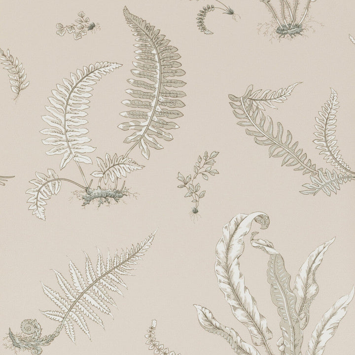 Ferns Linen by G P & J Baker Wallcovering G P & J Baker Wallcovering Ferns LinenWallcovering SIGNATURE NON WOVEN - 100% United Kingdom </p><p>Repeat: H: 20.488, V: 20.882 20.488 - Fabric Carolina -