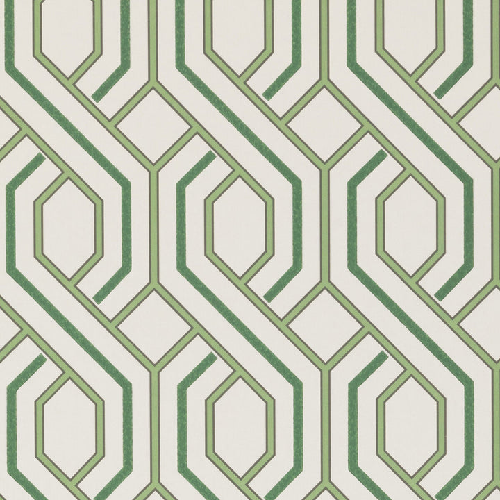 Parterre Botanical by G P & J Baker Wallcovering G P & J Baker Wallcovering Parterre BotanicalWallcovering SIGNATURE NON WOVEN - 100% United Kingdom </p><p>Repeat: H: 20.488, V: 7.88 20.488 - Fabric Carolina -