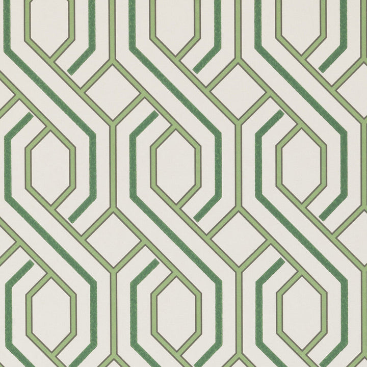 Parterre Botanical by G P & J Baker Wallcovering G P & J Baker Wallcovering Parterre BotanicalWallcovering SIGNATURE NON WOVEN - 100% United Kingdom </p><p>Repeat: H: 20.488, V: 7.88 20.488 - Fabric Carolina -