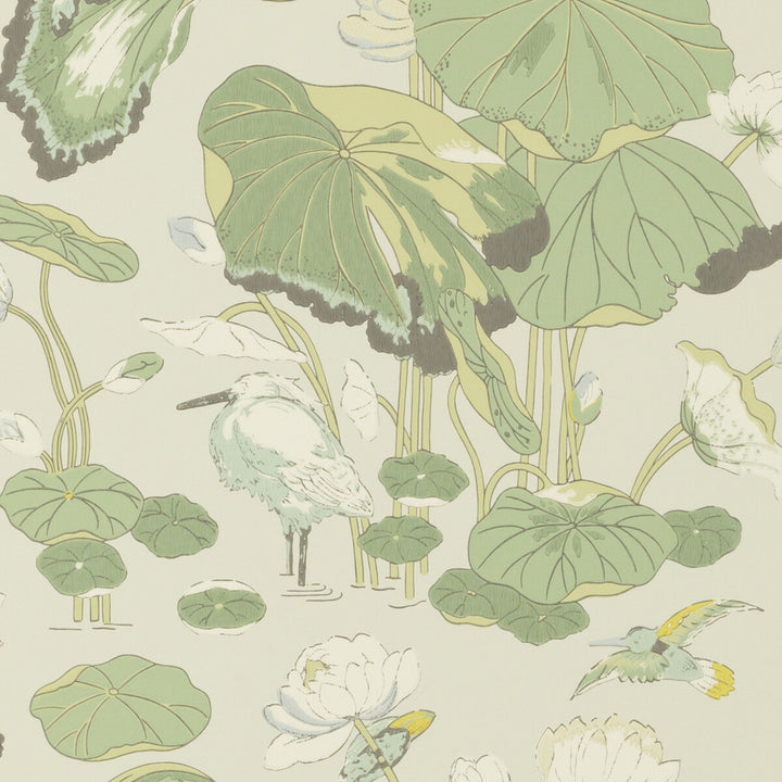 Nympheus Botanical by G P & J Baker Wallcovering SIGNATURE PAPER - 100% United Kingdom - Horizontal: 20.488 and Vertical: 24.034 20.488 - Fabric Carolina -