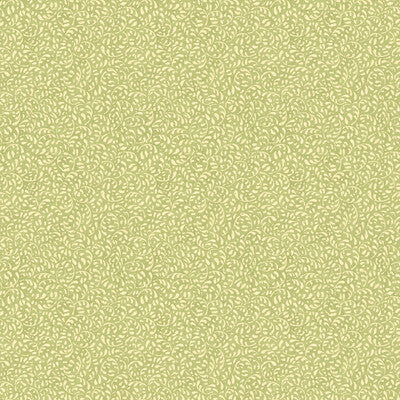 BW45116.1.0 by G P & J Baker Wallcovering G P & J Baker Wallcovering BW45116.1.0Wallcovering HOUSE SMALL PRINTS WALLPAPER NON WOVEN - 100% United Kingdom </p><p>Repeat: H: , V: 9.85 27.58 - Fabric Carolina -