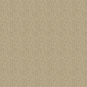 Tilly Charcoal by G P & J Baker Wallpaper
