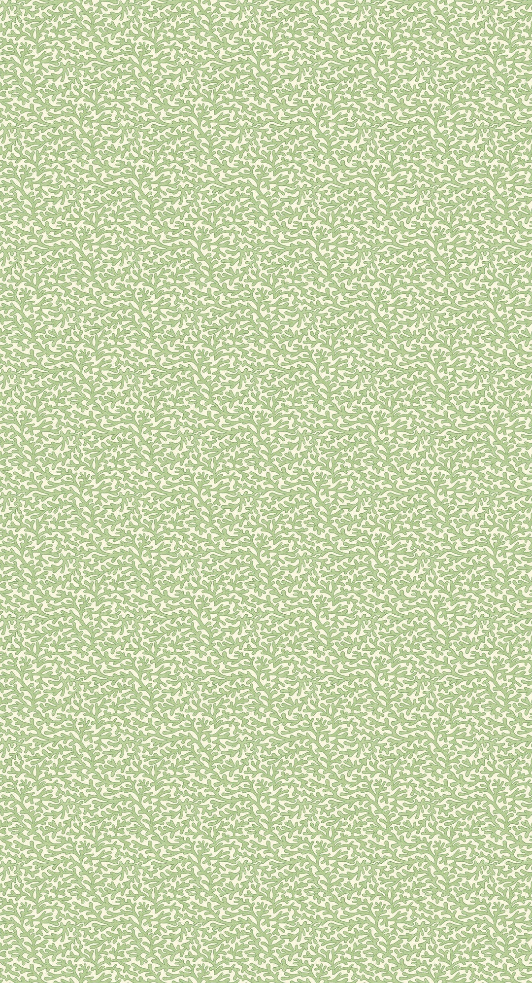 Green By G P & J Baker Wallcovering