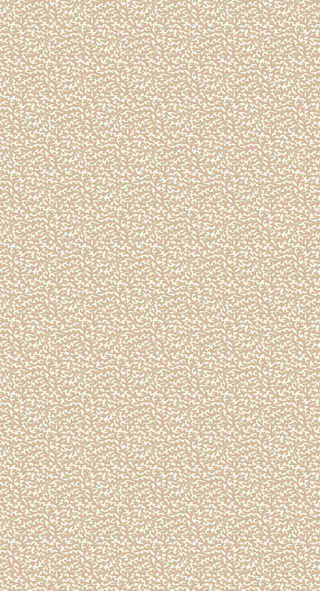 Blush By G P & J Baker Wallcovering