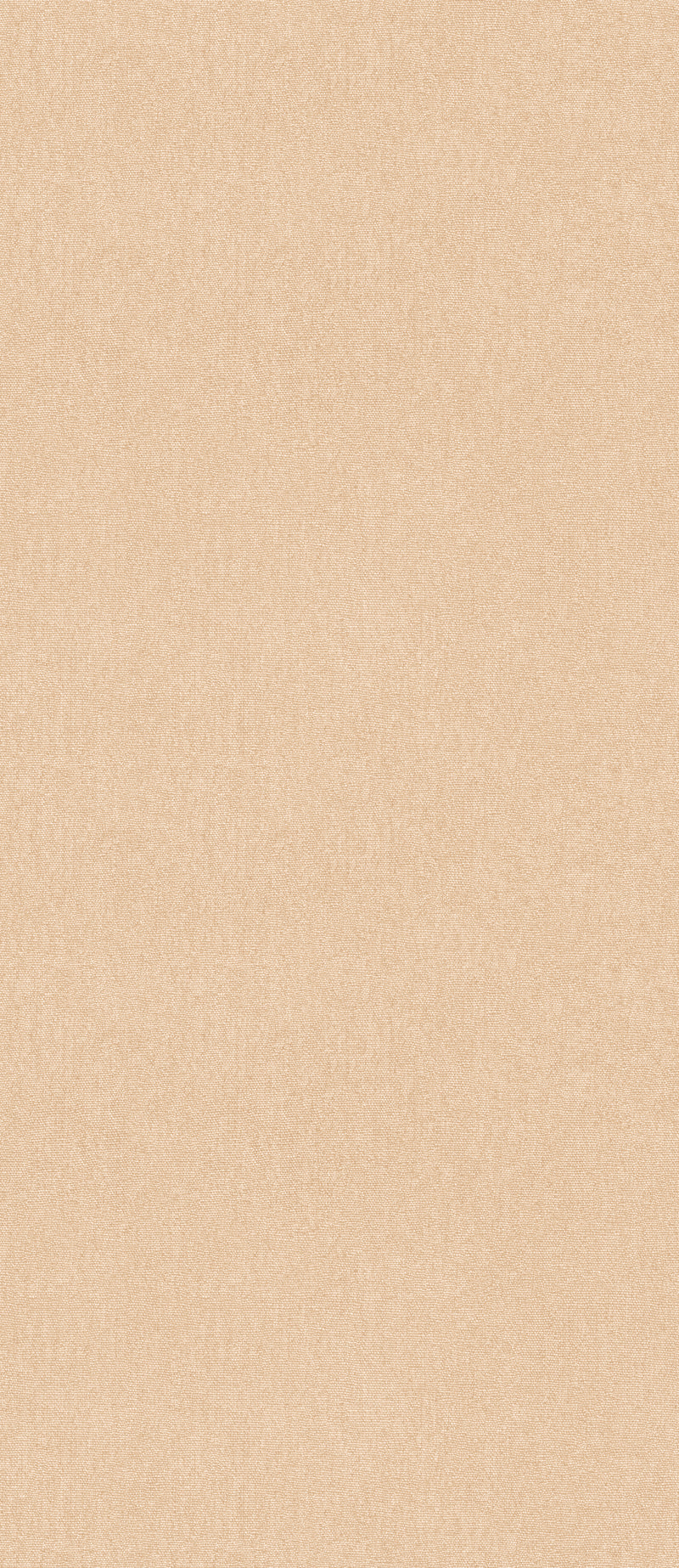 Plaster By G P & J Baker Wallcovering