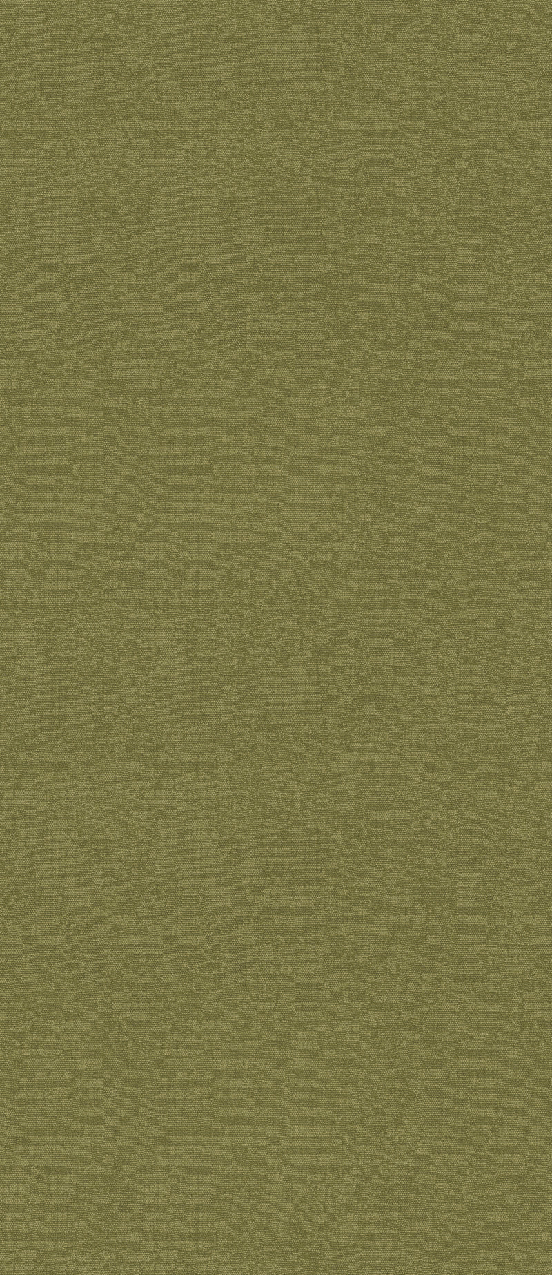 Olive By G P & J Baker Wallcovering