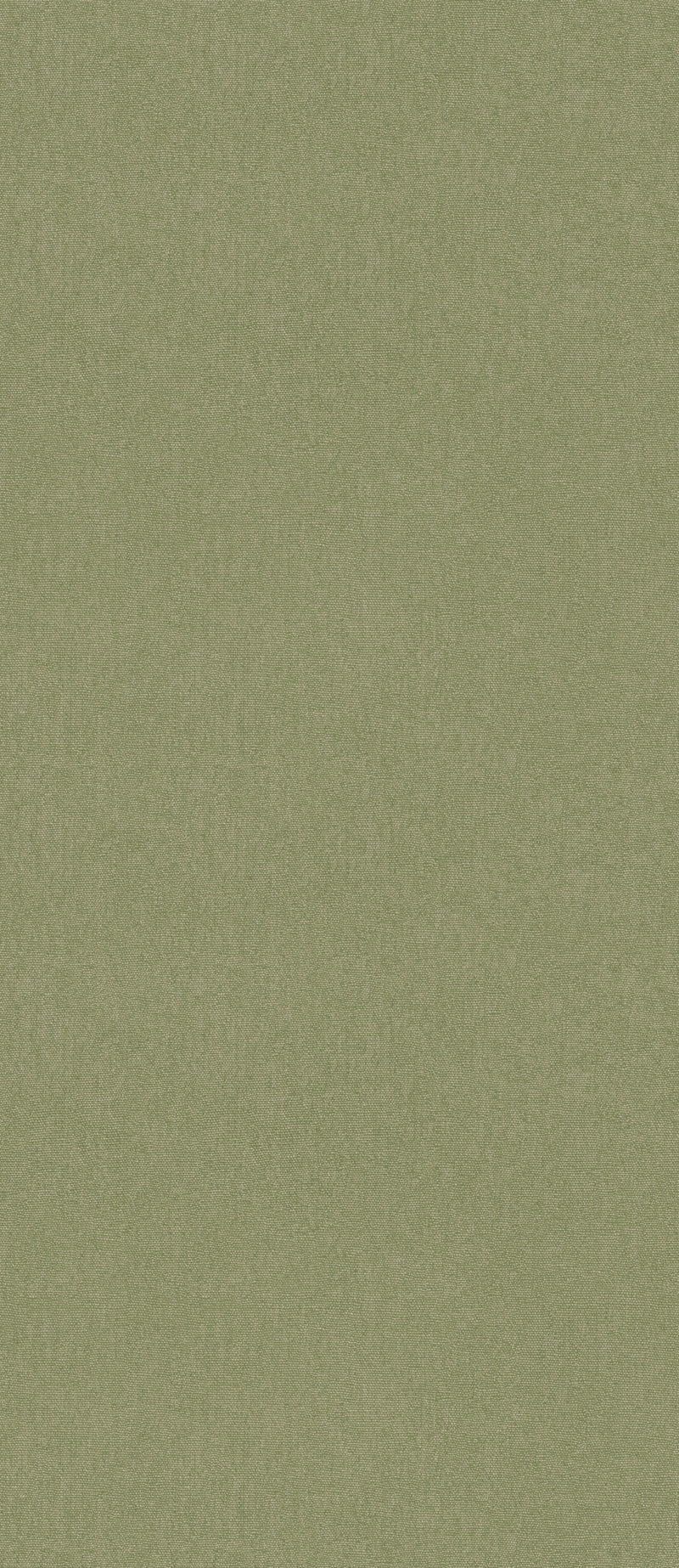 Grass By G P & J Baker Wallcovering