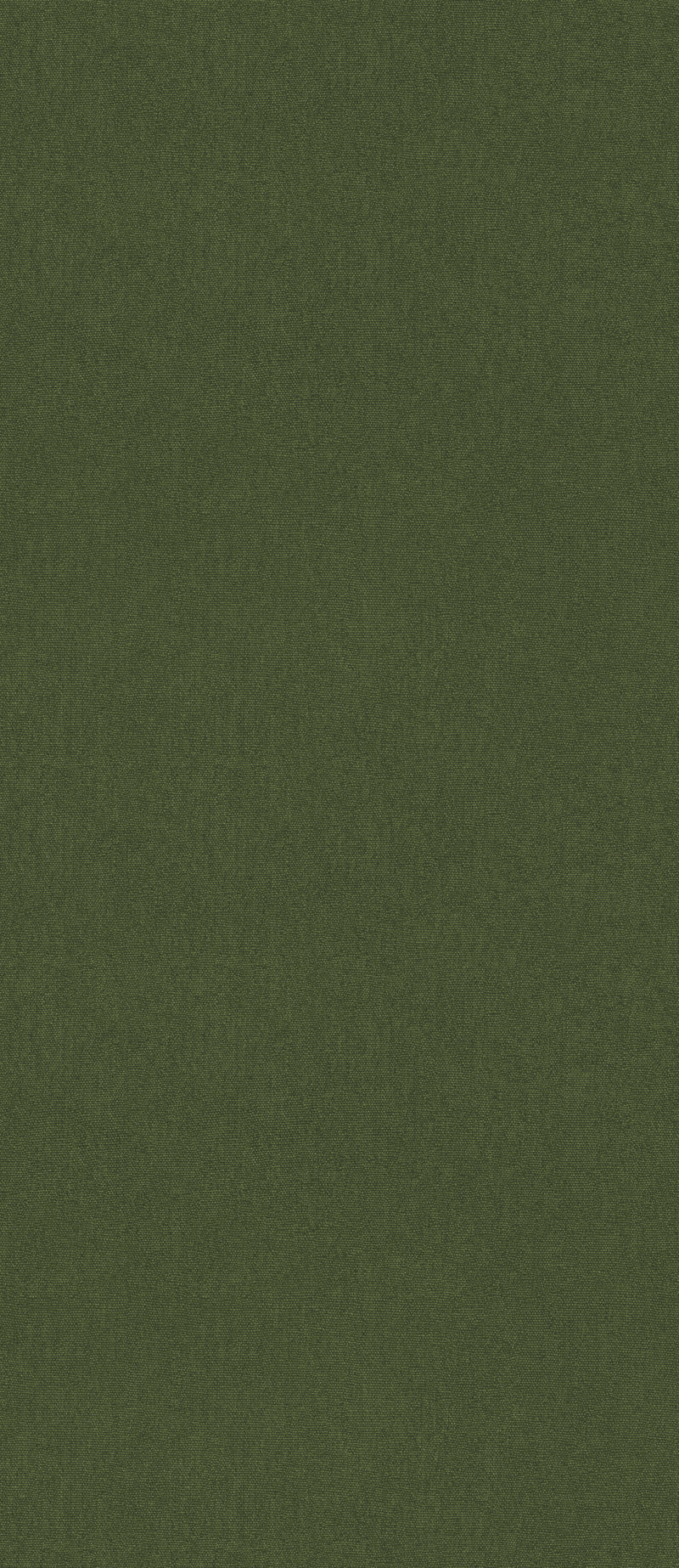 Forest By G P & J Baker Wallcovering