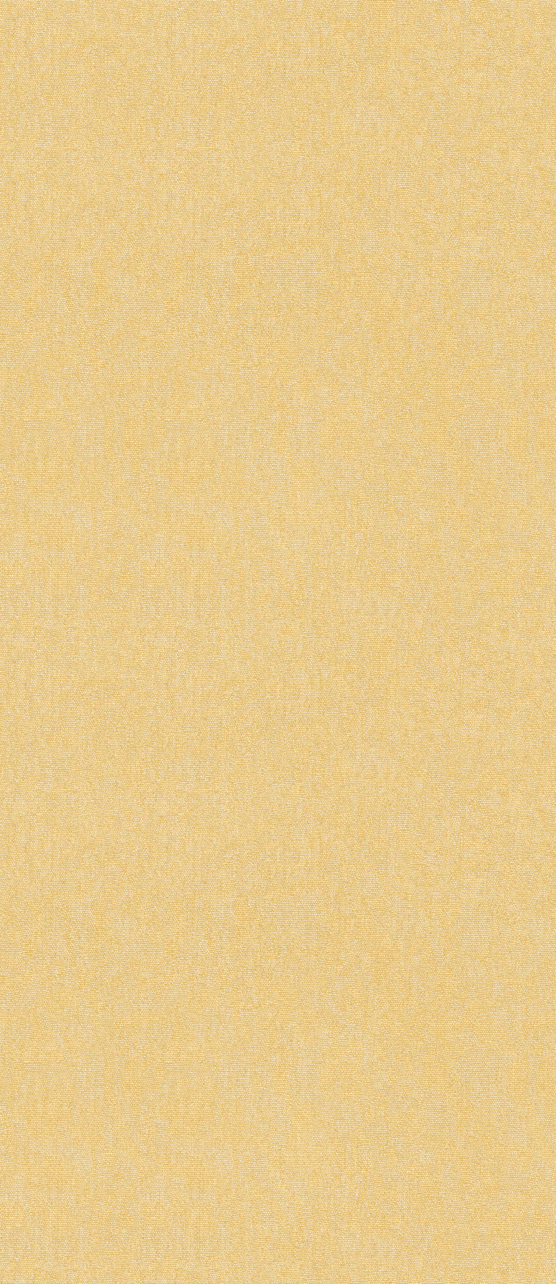 Sunshine By G P & J Baker Wallcovering
