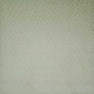 Brainstorm # 730 Mushroom by Maxwell Fabric